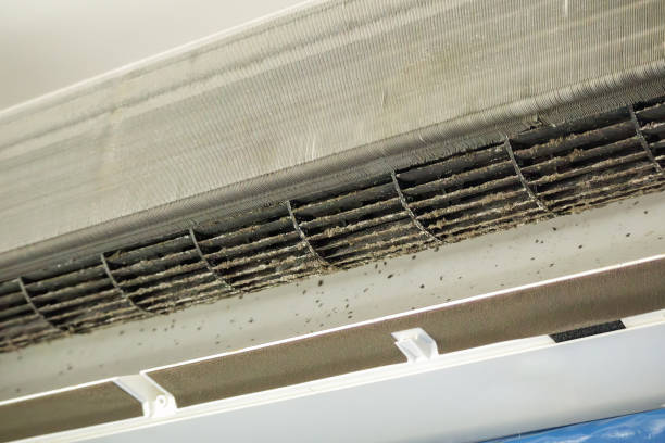 Best Professional Duct Cleaning Services  in Summit Hill, PA